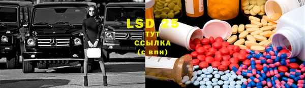спиды Ладушкин