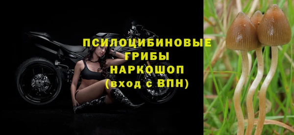 ешки Лиски