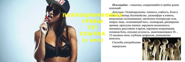 спиды Ладушкин