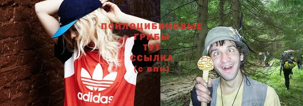 спиды Ладушкин