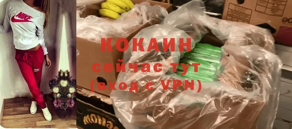 спиды Ладушкин