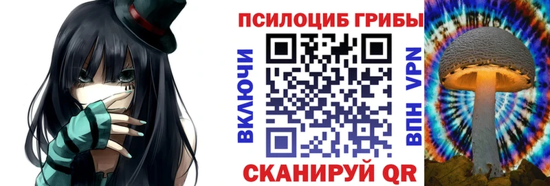 Купить где  Карабулак  Псилоцибиновые грибы мицелий 